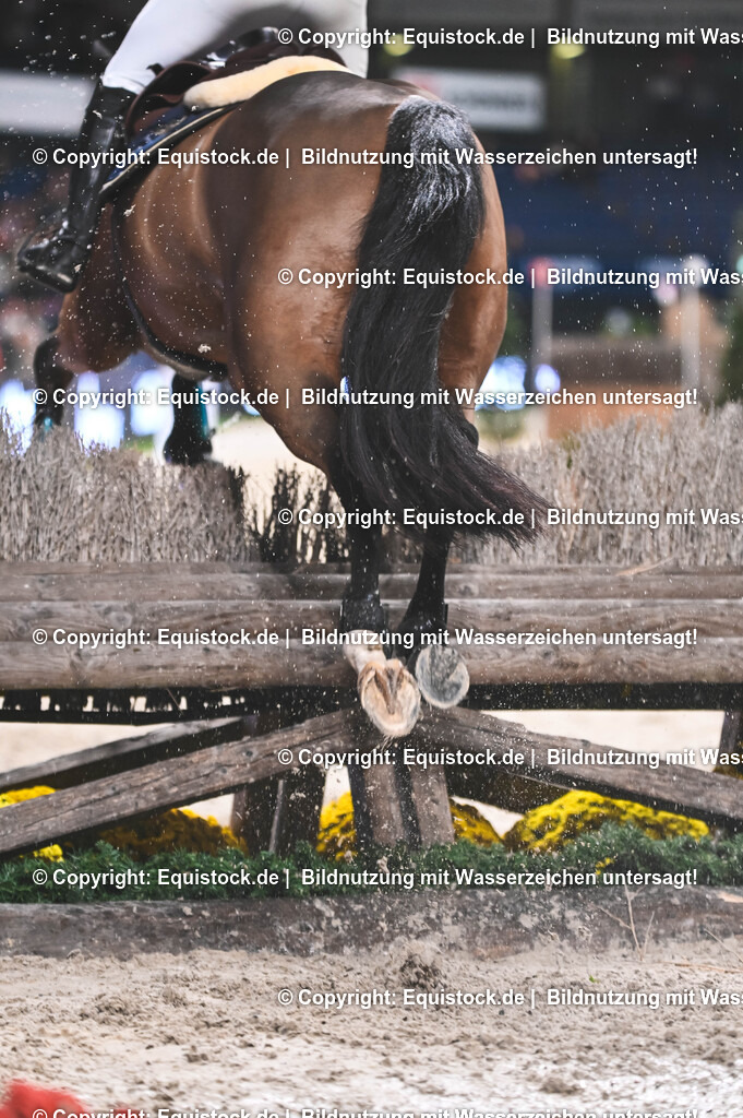 20251112_Indoor-Derby_TOMSPIC_0257 | Foto: Thomas Hartig