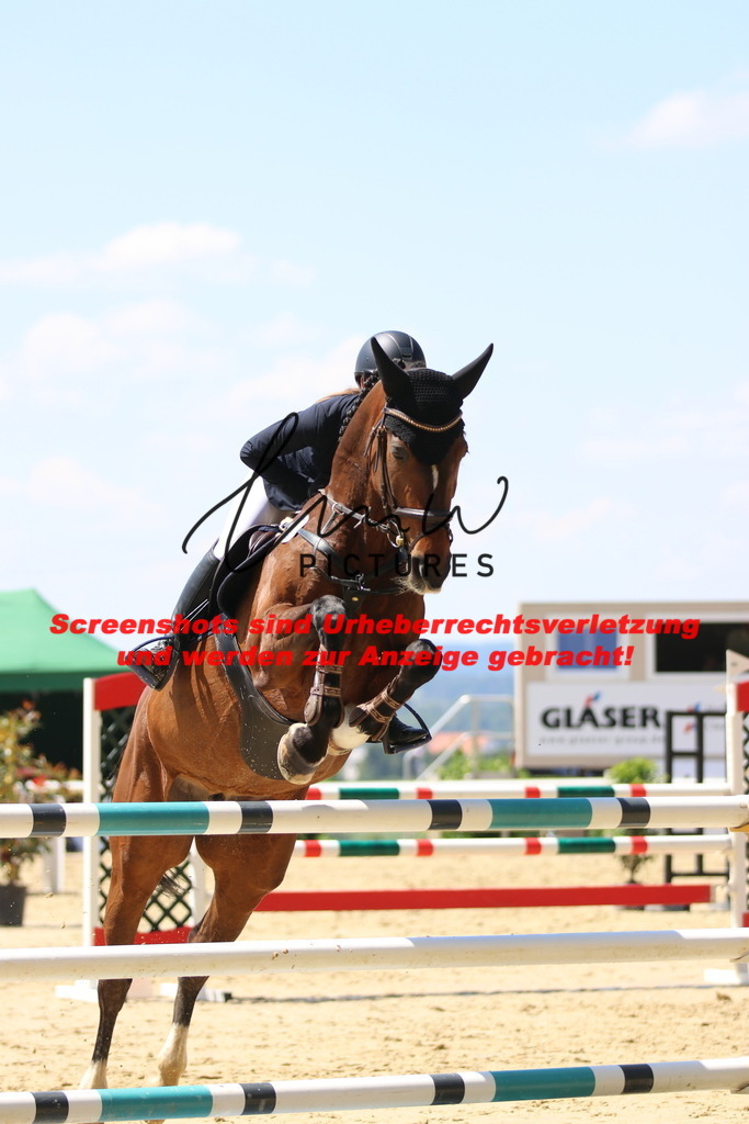 IMG_2469 | lmwpictures - Realisiert mit Pictrs.com