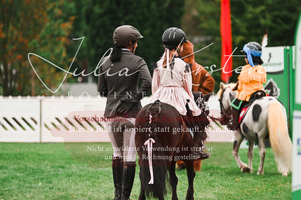 DSC_7422 | Pferde- und Turnierfotografie in Westsachsen. Pferdeportraits, Auftragszeichnungen und intuitive Kunst.