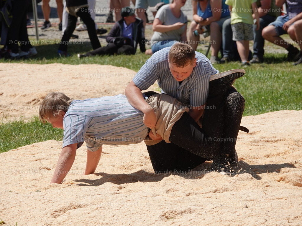 DSC04736 | Schwingen - Realisiert mit Pictrs.com