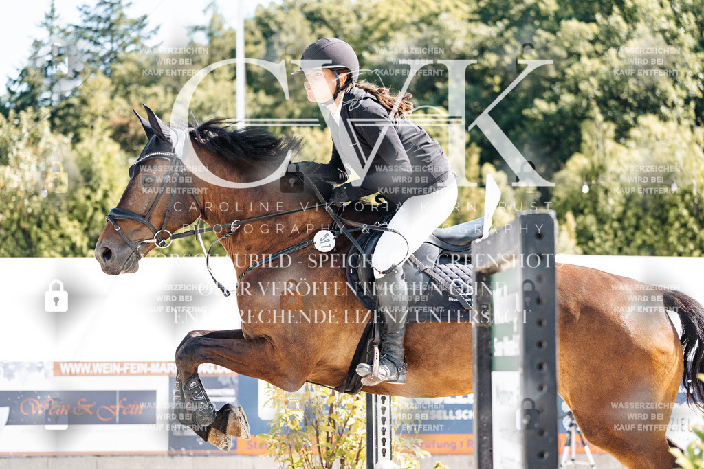 CK908265 | Turnierfotografie Pferdefotografie Trier Rheinland-Pfalz Pferdesport Reitsport Tierfotografie Sportfotografie Pferdevideo Pferdevideografie Equestrianvideography equestrianphotography  - Realisiert mit Pictrs.com