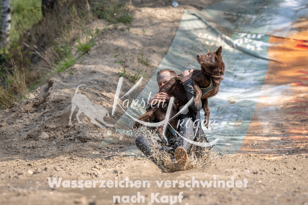 1133_ZZ90325 | kk-dogfotos
