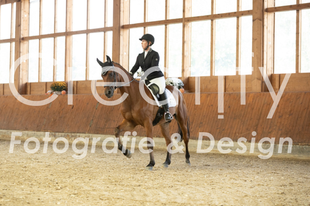 IMG_1756 | Creatify Fotografie