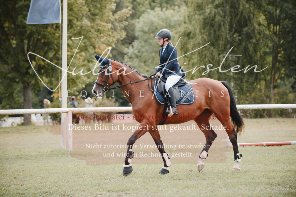 DSC_5470 | Pferde- und Turnierfotografie in Westsachsen. Pferdeportraits, Auftragszeichnungen und intuitive Kunst.