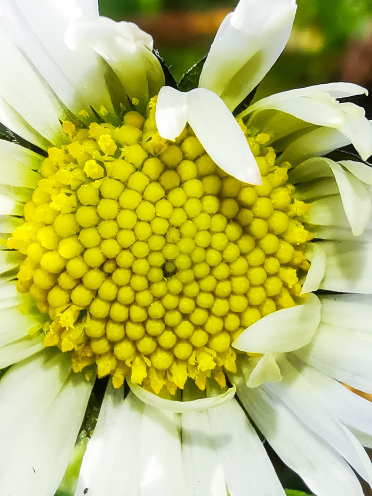 PSX_20230216_224749 | mtkfoto_ - Realisiert mit Pictrs.com