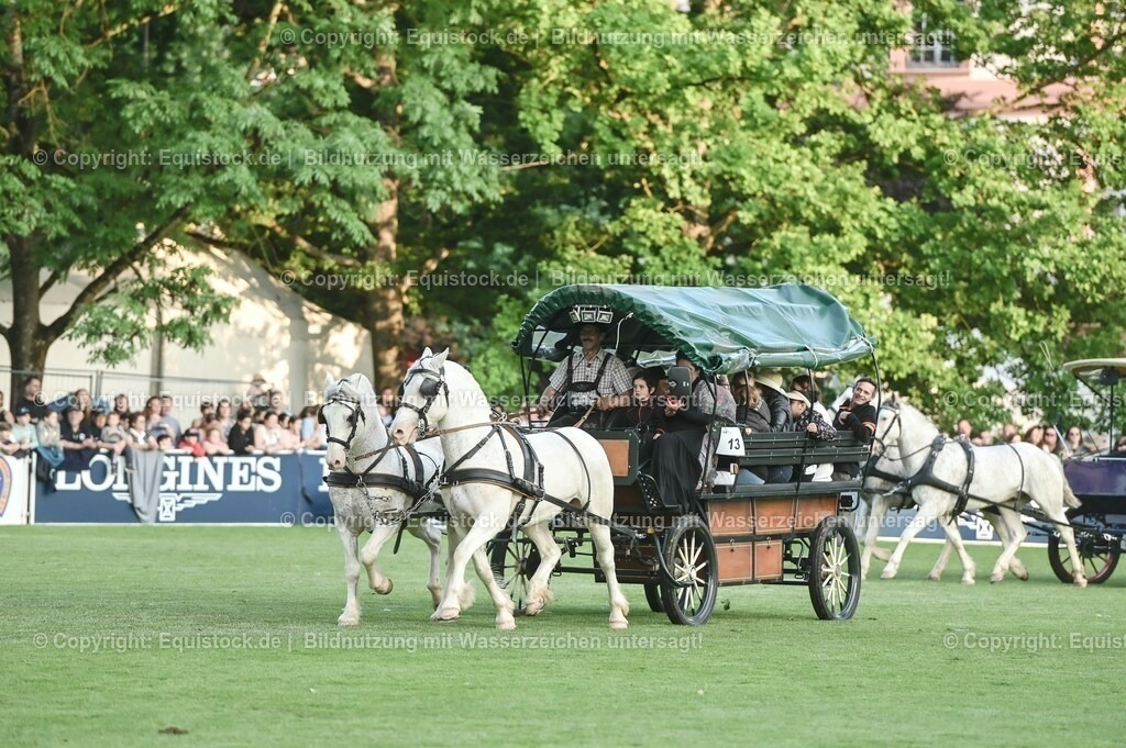 20230526_Pferdenacht_0218 | equistock