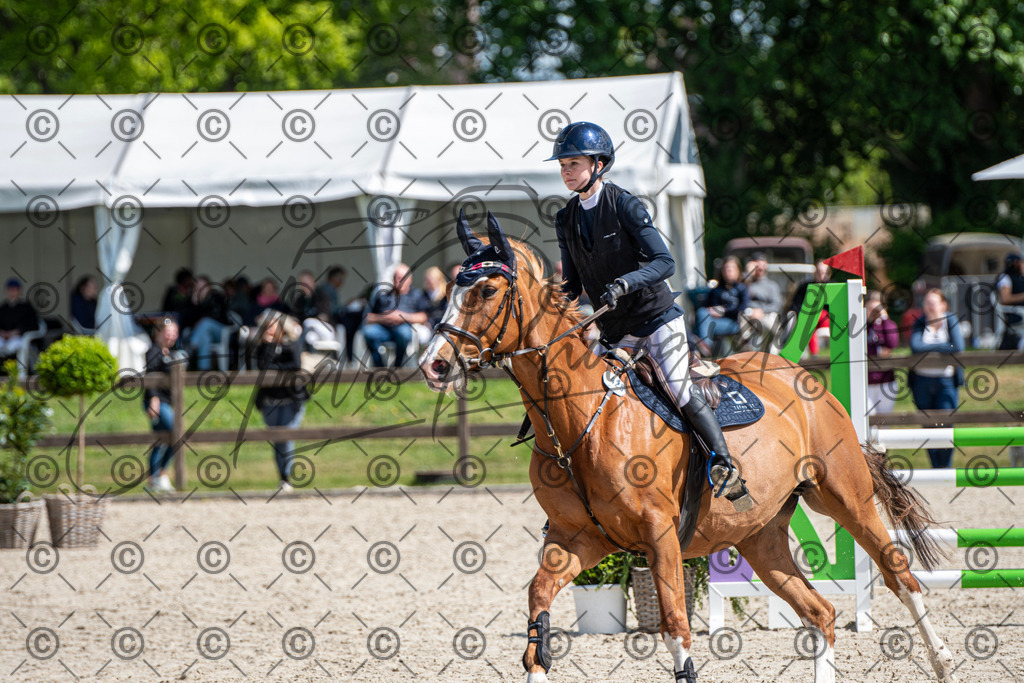 KPT_5160 | andre_photographic