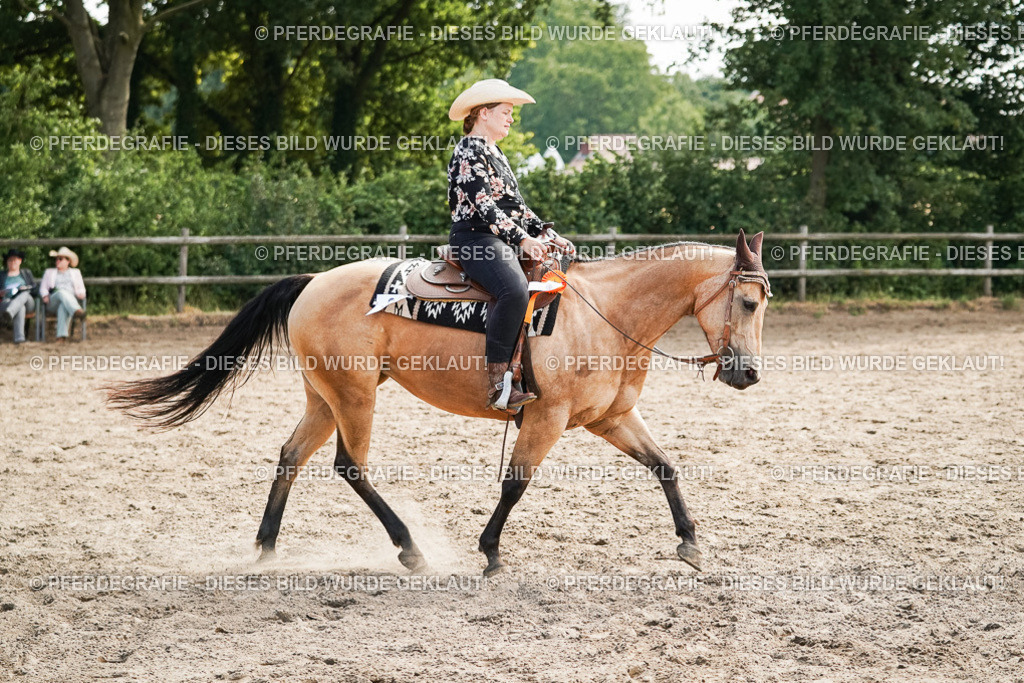 DSC04688 | Pferdegrafie