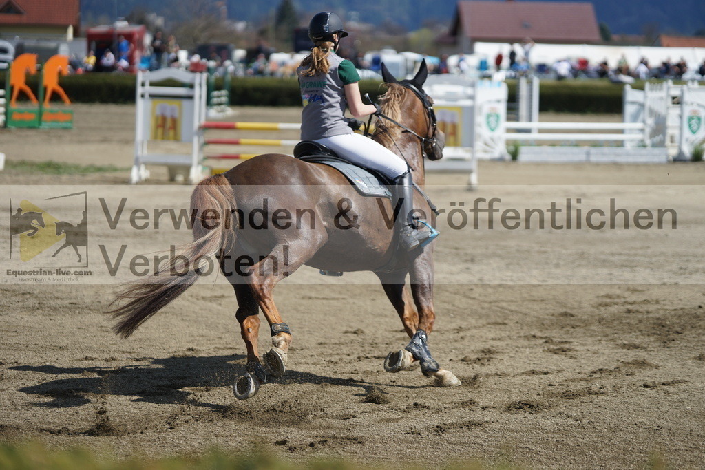 DSC03001 | equestrian-live-com