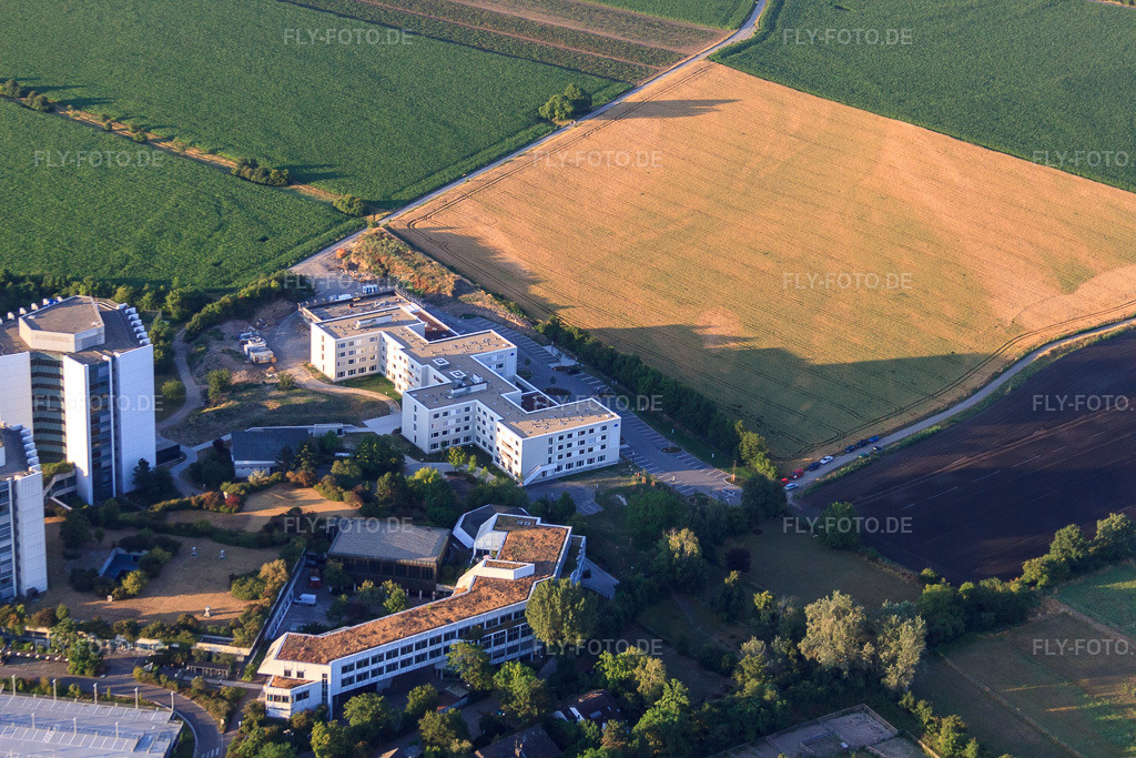 Luftbild: BG Klinik Ludwigshafen von Süden bei Sonnenaufgang im Ortsteil Oggersheim in Ludwigshafen im Bundesland Rheinland-Pfalz in Deutschland. Foto: IMG_69501.jpg vom 04.07.2014 durch Werner Riehm/FLY-FOTO.deAuflösung des Originals: 4752 x 3168 pxLinkedin