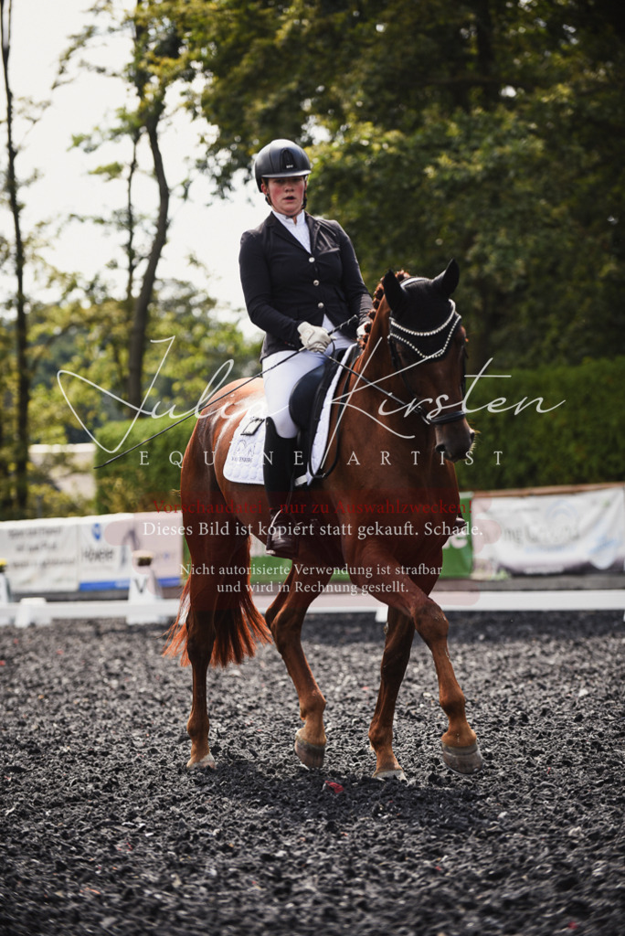 DSC_4185 | Pferde- und Turnierfotografie in Westsachsen. Pferdeportraits, Auftragszeichnungen und intuitive Kunst.