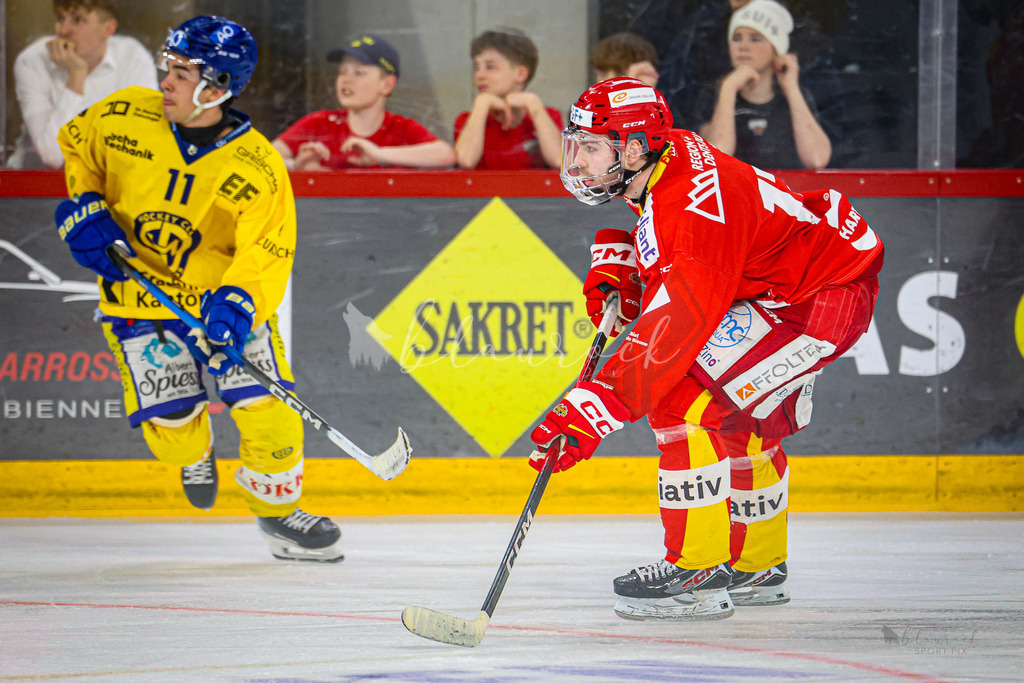 U21_EHCB vs HCD_wb20260308-0529 | Sportbilder, Sportfotograf, Hochzeits- und Eventfotografin, Flugshows, Portraits und Tiershooting, Aviation, Downhill, Nationalleague, Swissleague, International