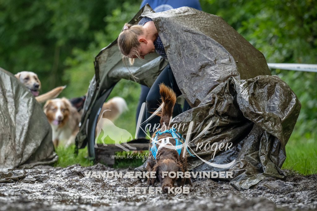 1143_ZZ94056-Bearbeitet | kk-dogfotos