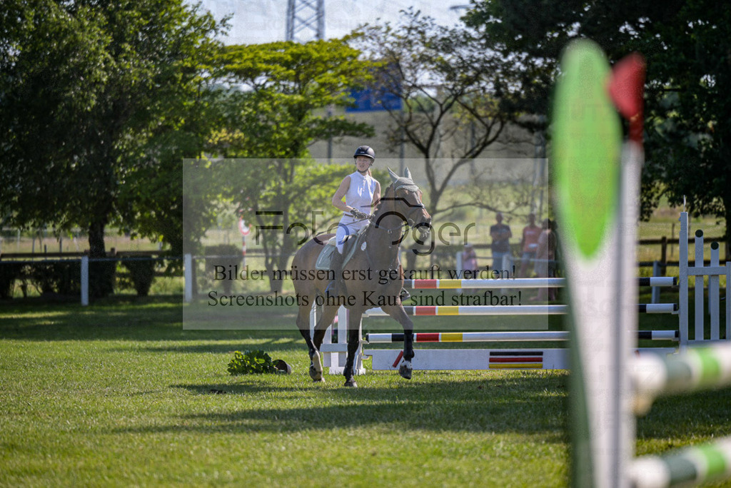 Reitturnier Voxtrup | Entdecke hochwertige Reitturnierfotos von Foto Oger. Professionell, emotional und authentisch – jetzt Lieblingsmomente im Shop bestellen.Deutschlandweite Turnierfotografie. - Realisiert mit Pictrs.com