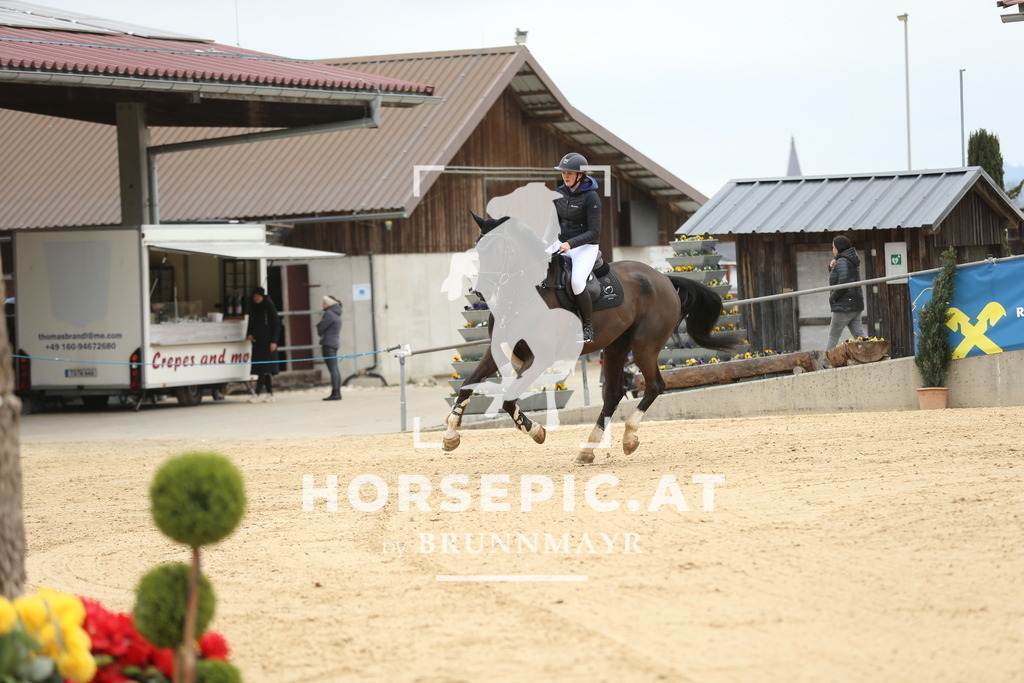 DL2Q5744 | Willkommen bei Brunnmayr - Design & Fotografie – Ihrem Spezialisten für Reitturniere und Pferdeveranstaltungen in Oberösterreich, Salzburg und Bayern! Seit über 17 Jahren sind wir leidenschaftlich dabei.