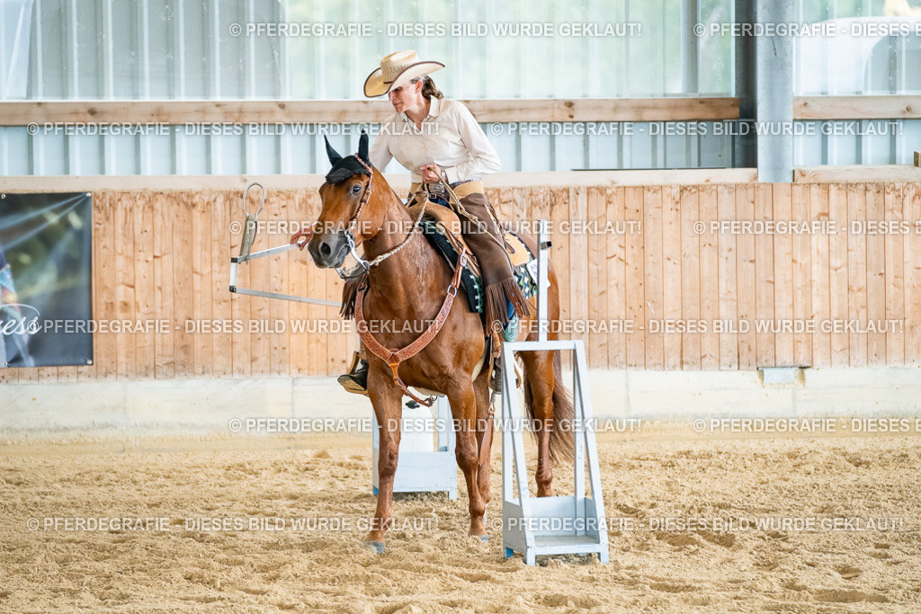 DSC07364 | Pferdegrafie