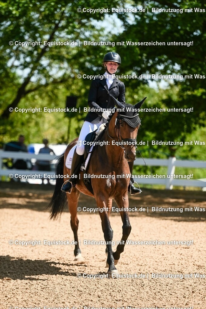 20230715_02_Dressurreiterprüfung Kl.L_0100 | equistock