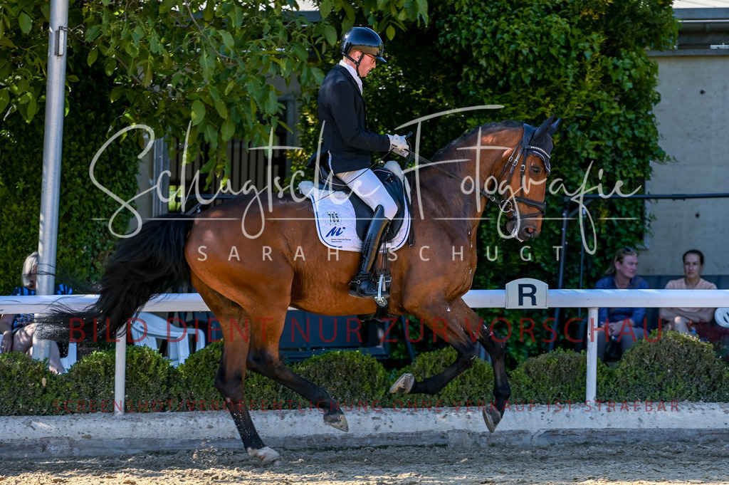 Schugtsche-Aluta25-50.Dressurpferdeprf.L-264 | Schugtsche Fotografie - Realisiert mit Pictrs.com