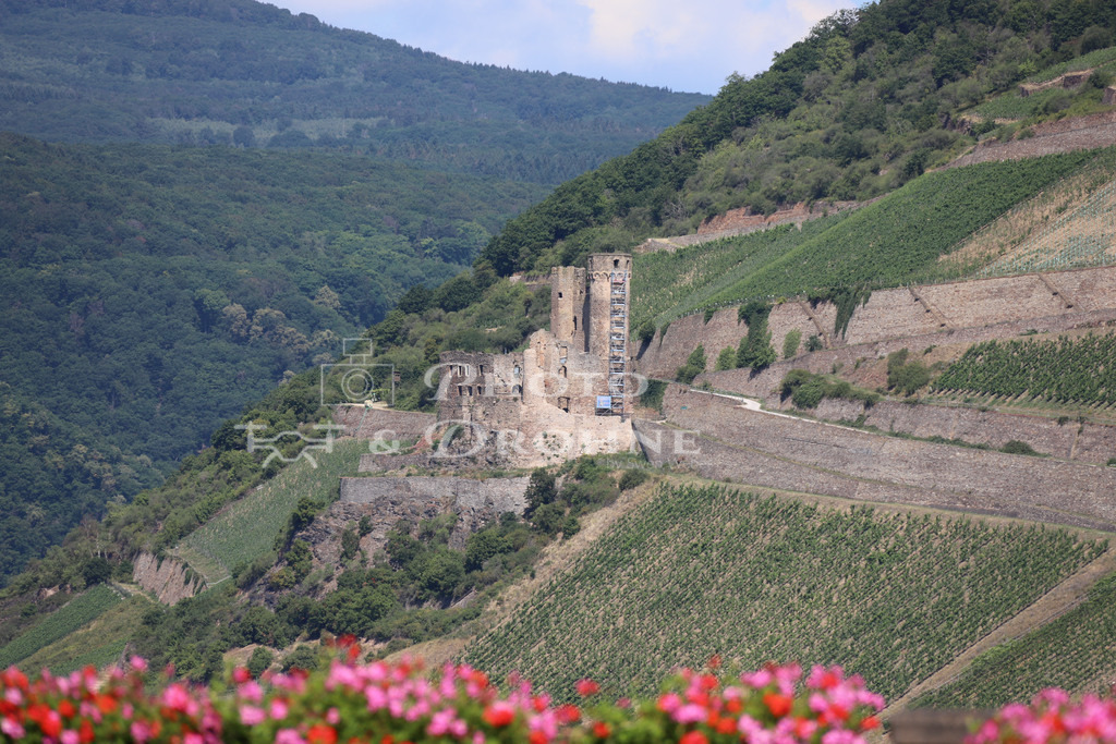 Burg Klopp-7972 | Die Ruine der Burg Ehrenfels befindet sich auf der rechten Rheinseite , am Binger Loch, zwischen Assmannshausen und Rüdesheim. - Realisiert mit Pictrs.com