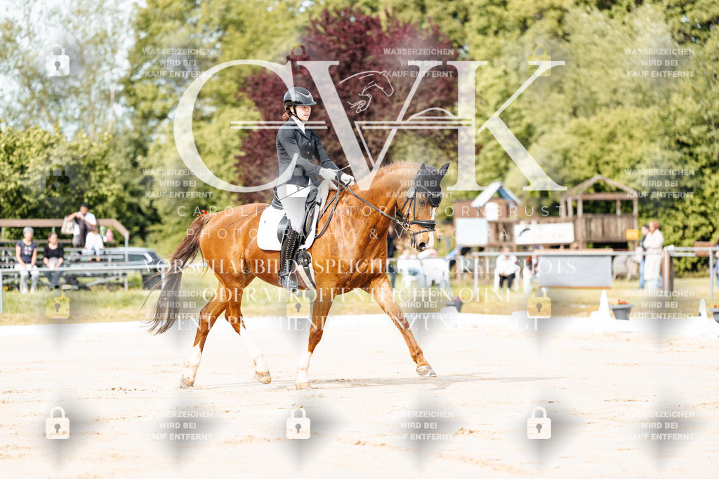 CK900620 | Turnierfotografie Pferdefotografie Trier Rheinland-Pfalz Pferdesport Reitsport Tierfotografie Sportfotografie Pferdevideo Pferdevideografie Equestrianvideography equestrianphotography  - Realisiert mit Pictrs.com
