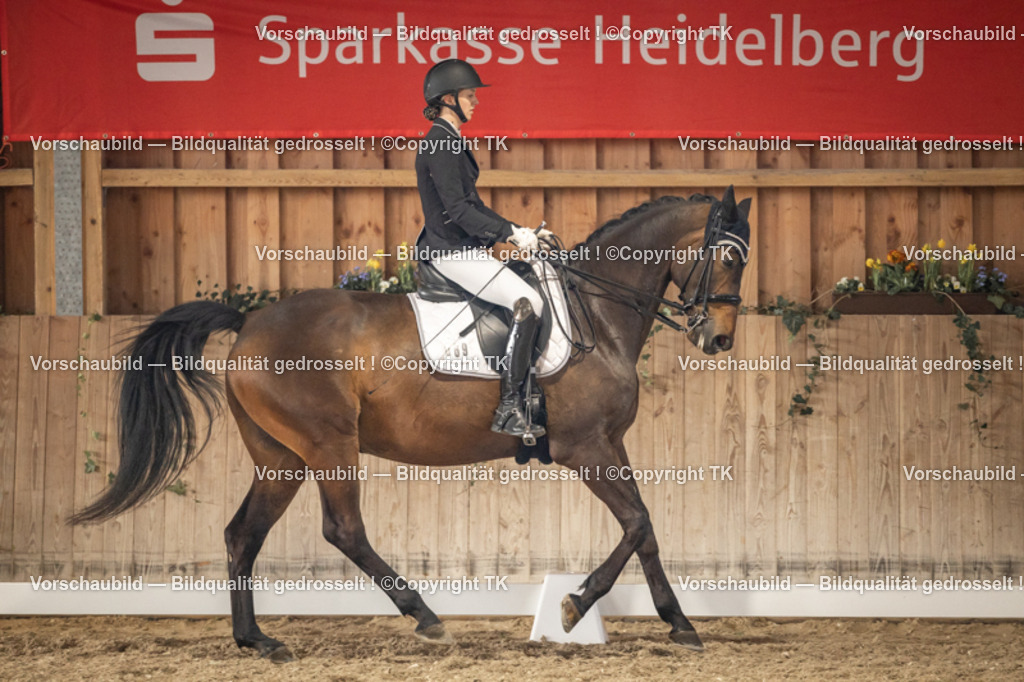 _D5A9333 | Emotionale Pferde- & People-Fotografie rund um Heidelberg, Leimen & Umgebung. Natürliche Fotos von Pferd, Mensch & Familie. Jetzt Termin sichern!