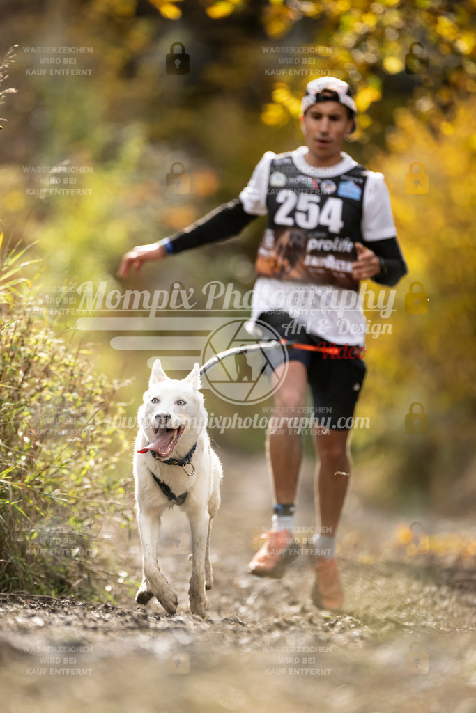 MompixPhotography_ICF_WC_2024_SA_Run_-52 | PayLife