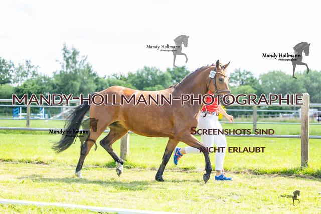 DR 4 (64 von 370) | mandyhollmannphotographie