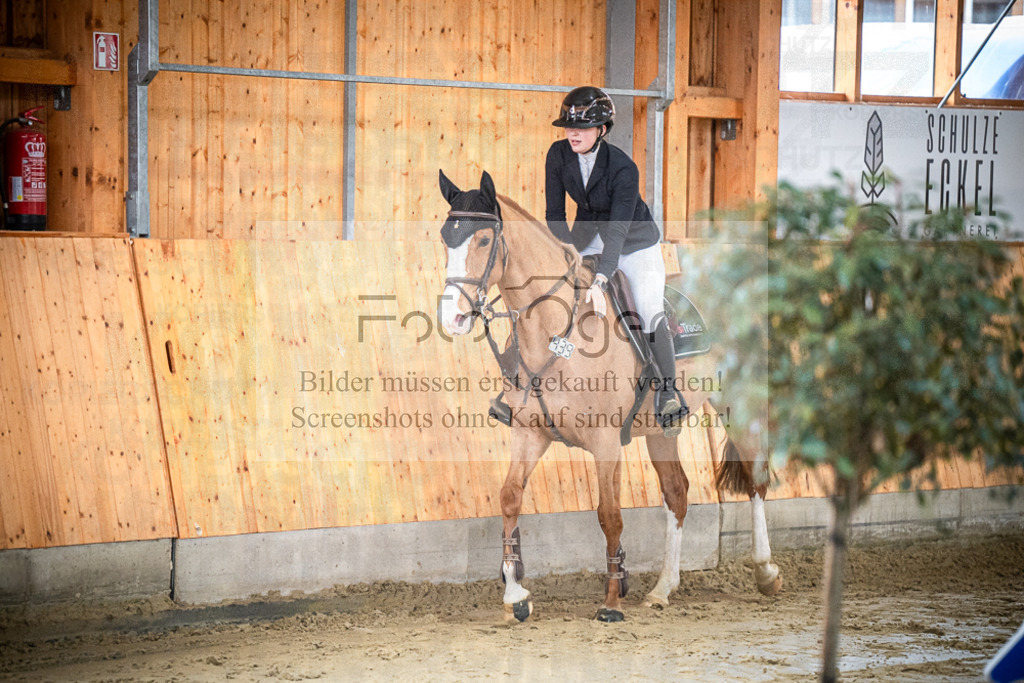 DOS_0278 | Entdecke hochwertige Reitturnierfotos von Foto Oger. Professionell, emotional und authentisch – jetzt Lieblingsmomente im Shop bestellen.Deutschlandweite Turnierfotografie. - Realisiert mit Pictrs.com