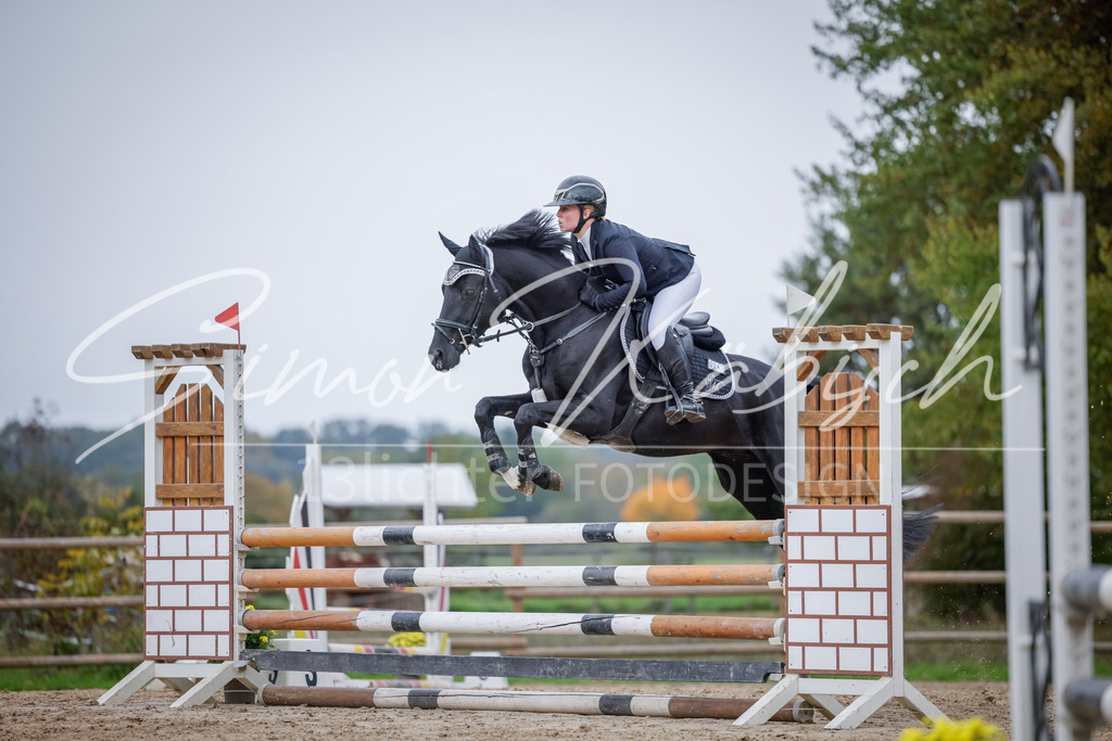 20251012-_3LI3857 | Tierfotografie Pferde, Hunde, Katzen, Haustiere.
Turnierfotografie Reitturniere, Reiten, Springreiten, Dressur in Hanau, dem Main-Kinzig-Kreis und dem Rhein-Main- Gebiet um Frankfurt