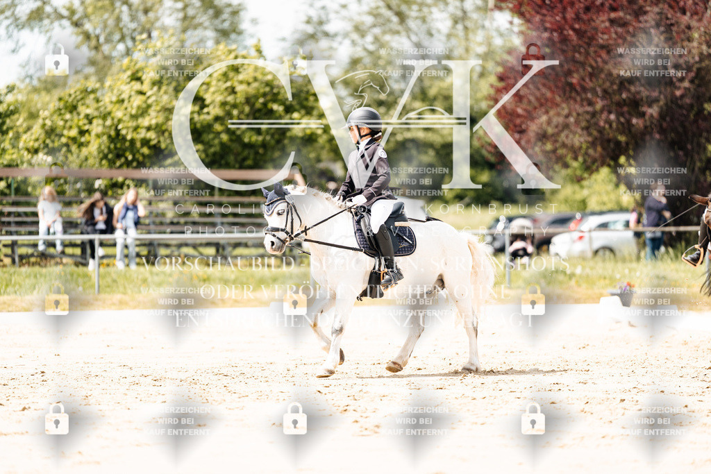 CK901847 | Turnierfotografie Pferdefotografie Trier Rheinland-Pfalz Pferdesport Reitsport Tierfotografie Sportfotografie Pferdevideo Pferdevideografie Equestrianvideography equestrianphotography  - Realisiert mit Pictrs.com