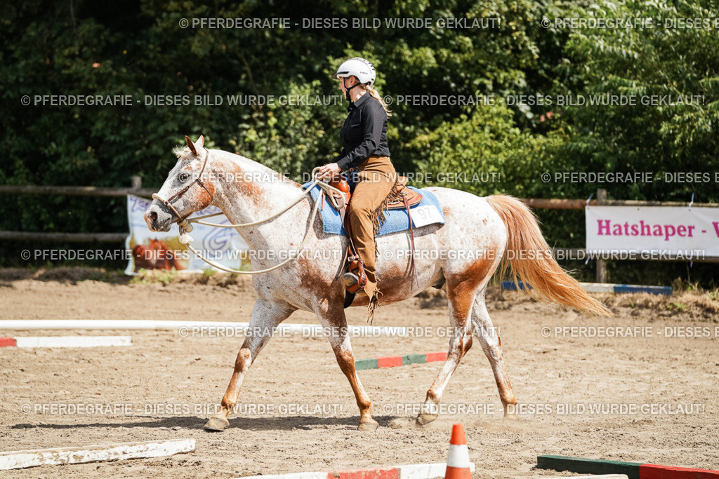 DSC06336 | Pferdegrafie