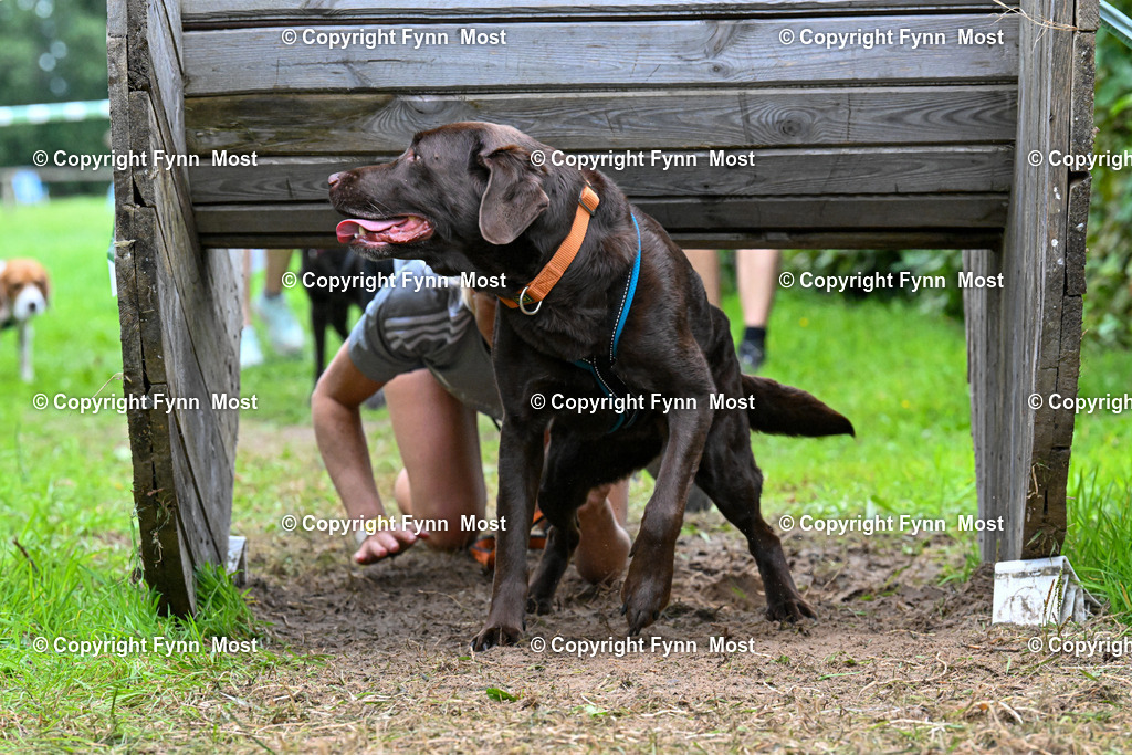 DSC_0840 | Hallo und herzlich Willkommen auf meiner Shop-Seite Fynn Most.

Ich wünsche Dir viel Spaß beim stöbern durch die Bilder, wenn Du Fragen hast oder Bilder vermisst, kannst du mir gerne eine Nachricht schreiben. - Realisiert mit Pictrs.com