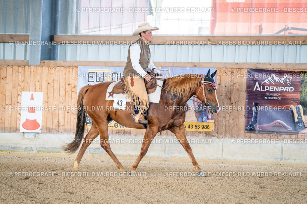 DSC01625 | Pferdegrafie