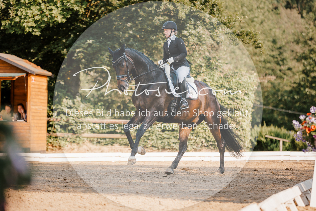 3I6A8613 | Stimmungsvolle Portraits und Reitsportfotografie im Ruhrgebiet und im Münsterland.

Pferdefotografie, Hundefotografie, Tierfotografie, Reportagen, Portraits von Tier und Mensch, Turnierfotografie in Bochum, Recklinghausen, Marl, Haltern am See, Dülmen.. - Realisiert mit Pictrs.com