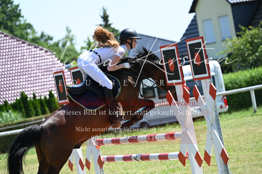 DSC_0798 | Pferde- und Turnierfotografie in Westsachsen. Pferdeportraits, Auftragszeichnungen und intuitive Kunst.