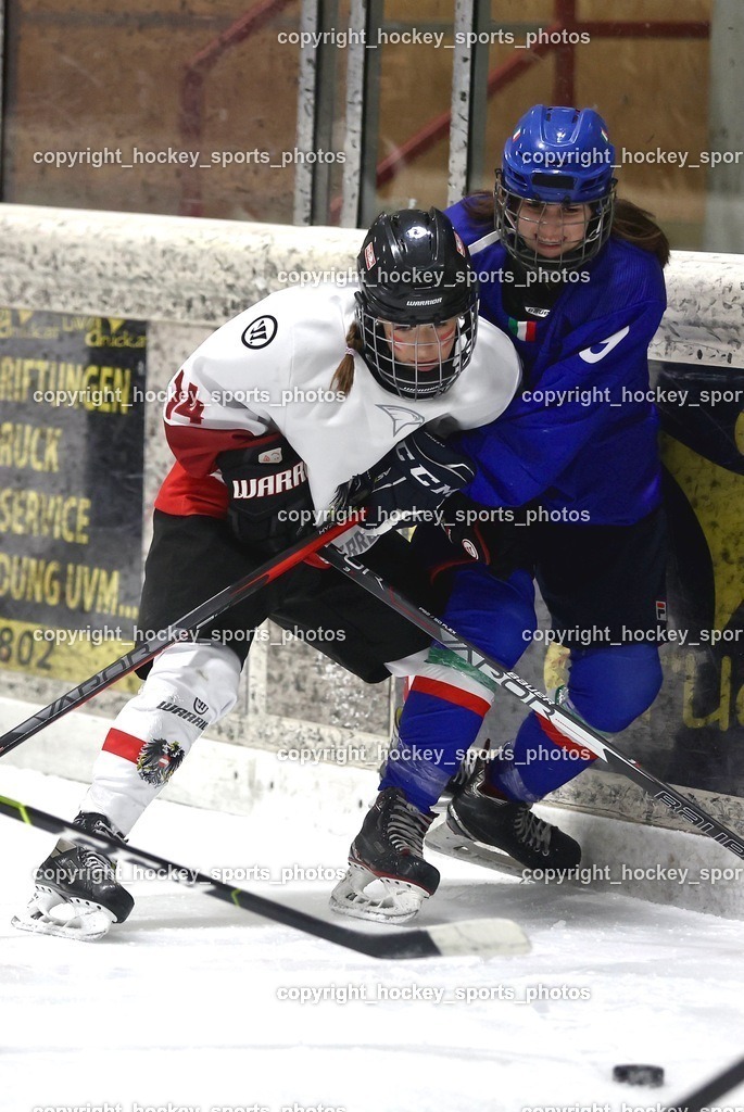 MOWE3891 | hockey sports photos, Pressefotos, Sportfotos, hockey247, win 2day icehockeyleague, Handball Austria, Floorball Austria, ÖVV, Kärntner Eishockeyverband, KEHV, KFV, Kärntner Fussballverband, Österreichischer Volleyballverband, Alps Hockey League, ÖFB, 