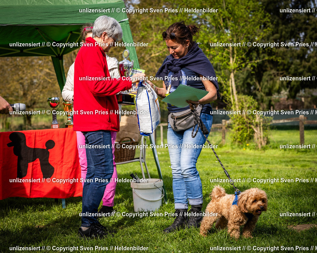 Sven Pries | 2025-04-13 - Hunderennen Baden-Baden - Realisiert mit Pictrs.com