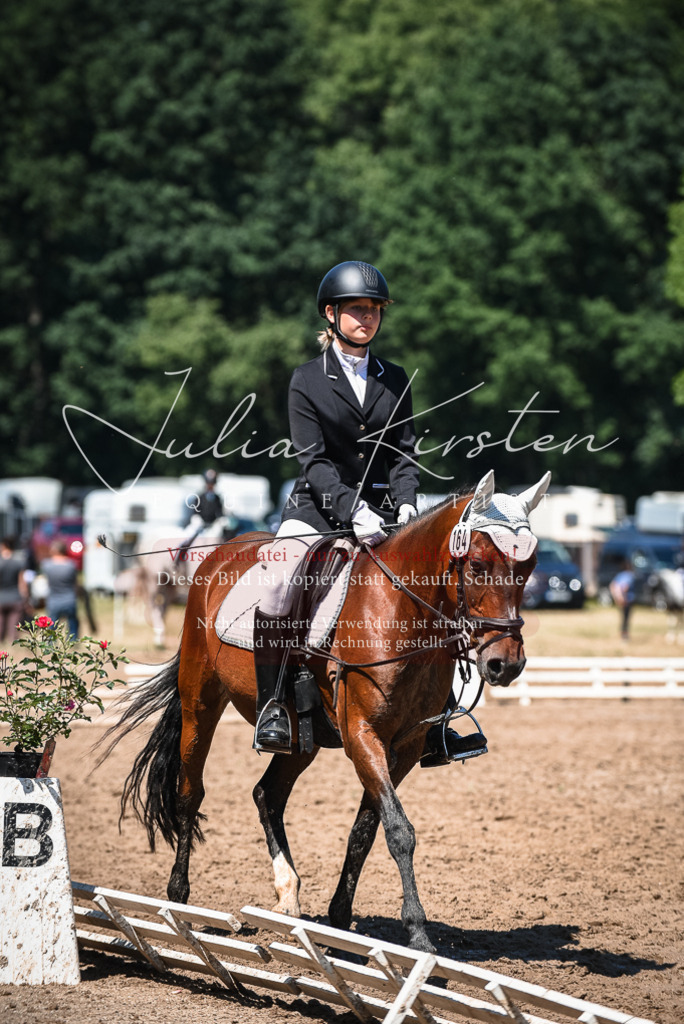 DSC_3028 | Pferde- und Turnierfotografie in Westsachsen. Pferdeportraits, Auftragszeichnungen und intuitive Kunst.