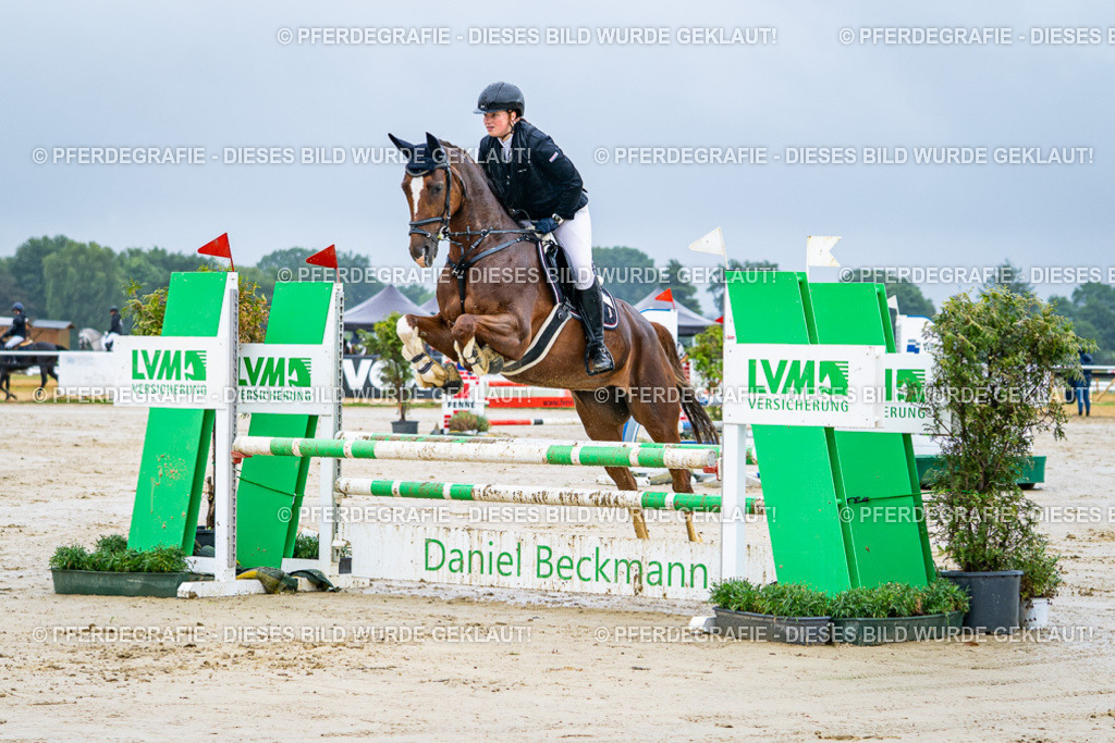 DSC03132 | Pferdegrafie