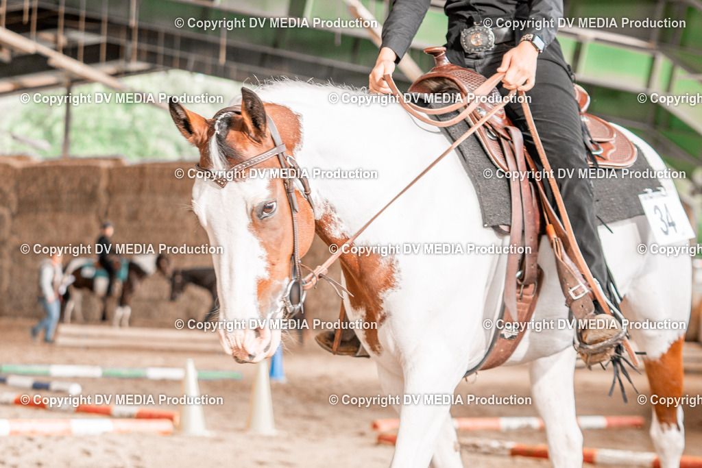 Balingen Tag 3-884 | dv-media-shop - Realisiert mit Pictrs.com