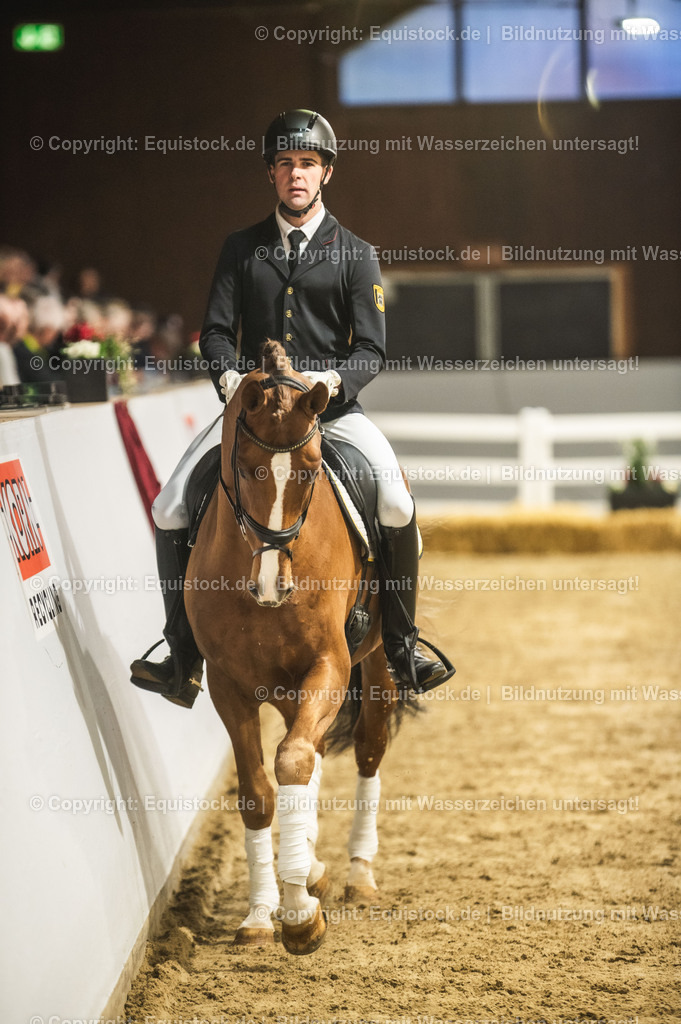 20240302_Hengstvorstellung_Marbach_TOMsPiC_0333 | equistock