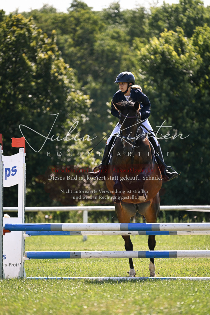 DSC_8833 | Pferde- und Turnierfotografie in Westsachsen. Pferdeportraits, Auftragszeichnungen und intuitive Kunst.