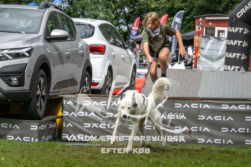 1430_ZZ91176 | kk-dogfotos