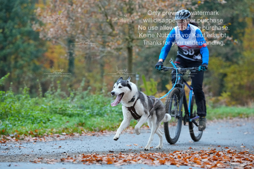 Bike_So-85 | stephaniefillaphotographie - Realisiert mit Pictrs.com