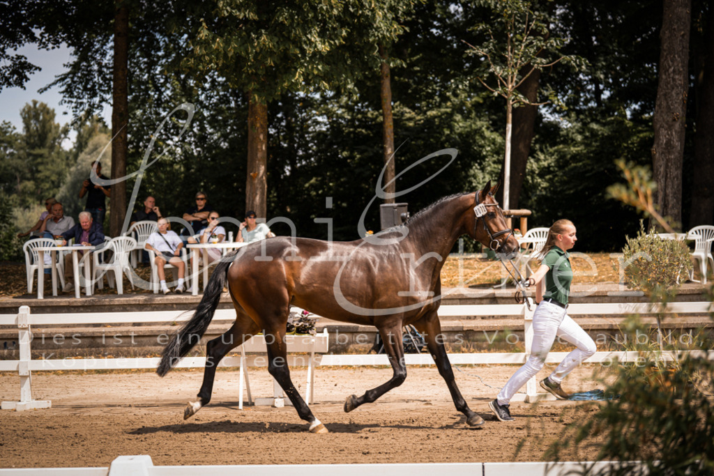 1.Fr00115 | Leoni Ertmer Photography - Realisiert mit Pictrs.com