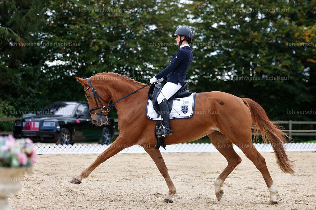 02-095-DRESSUR L_  -StoibPH-4703 | working equitationturnier fotograf videograf stoibphotography marixx film working equitation deutschland reitsport turnierfotografie eventfotografie equestrian events