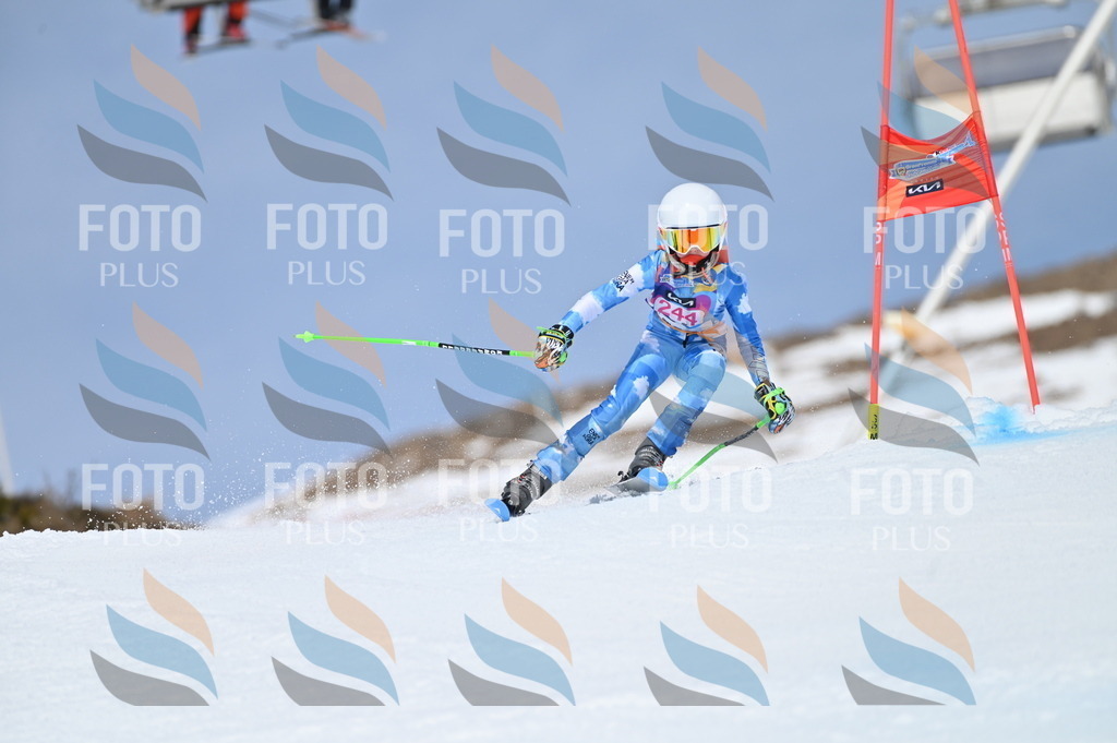 BGV_1766 | holidayphoto