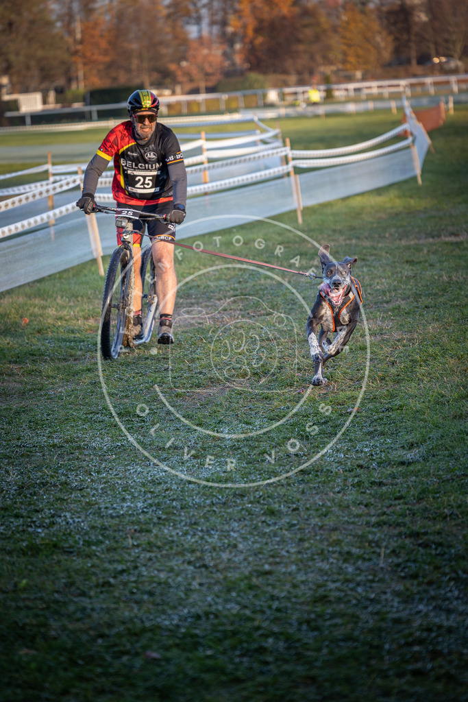 CaniXpix_0L8A1734 | Hundefotografie, Tierfotograf, Pfotenfotografie, Fotoshooting Hund, Hunde Portrait, Hundesport, Hundeportraits, Heideshooting, Hunde, Sportfotograf, Hundefotograf, Turnierhundsport, THS,  - Realisiert mit Pictrs.com