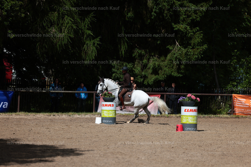 KlasseL_Stoibphotography_CAM23452.JPG | working equitationturnier fotograf videograf stoibphotography marixx film working equitation deutschland reitsport turnierfotografie eventfotografie equestrian events