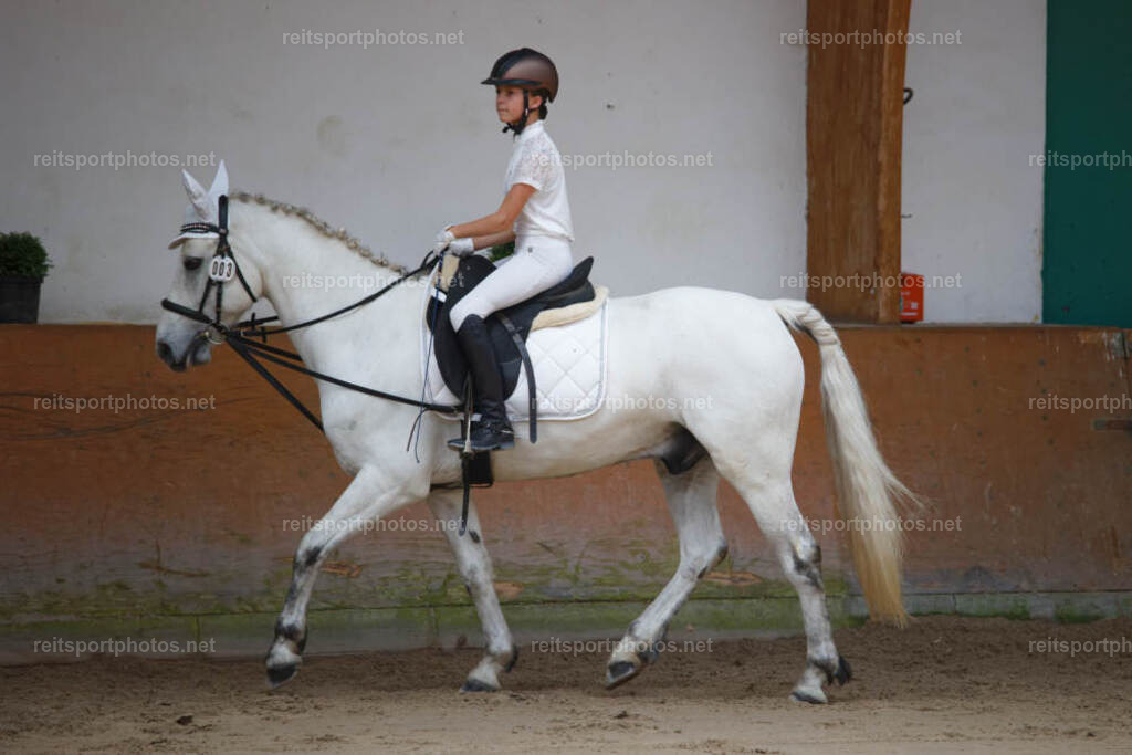 JHE_3349 | JoYa Fotografie - Realisiert mit Pictrs.com